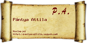 Pántya Attila névjegykártya