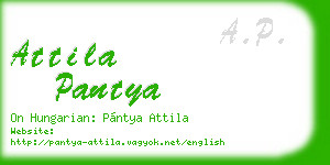 attila pantya business card